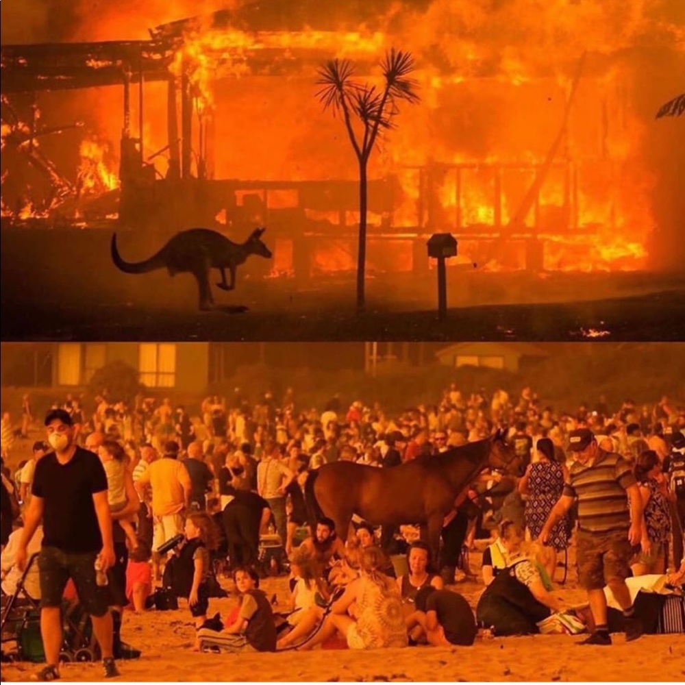 DONATING to Australia Fire - Picture 6 of 7